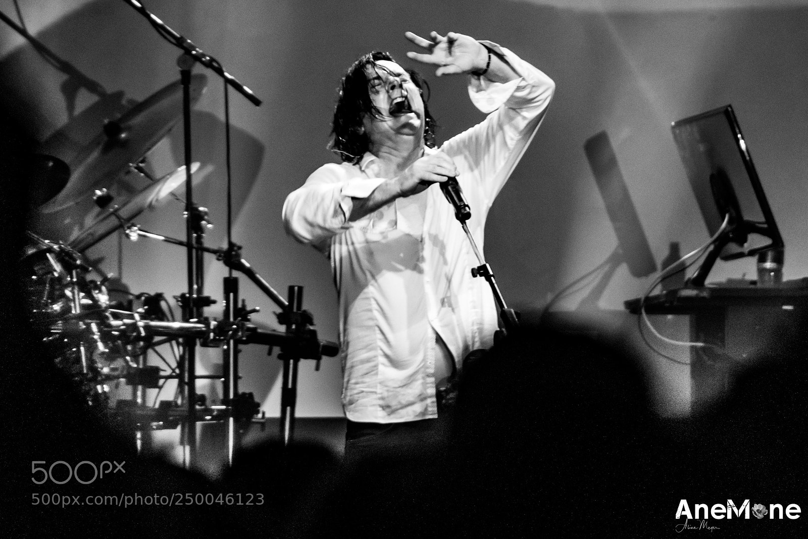 Canon EOS-1D X sample photo. Marillion photography