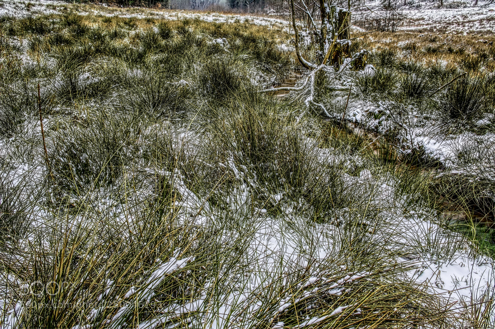 Nikon D7100 sample photo. Creek28 photography