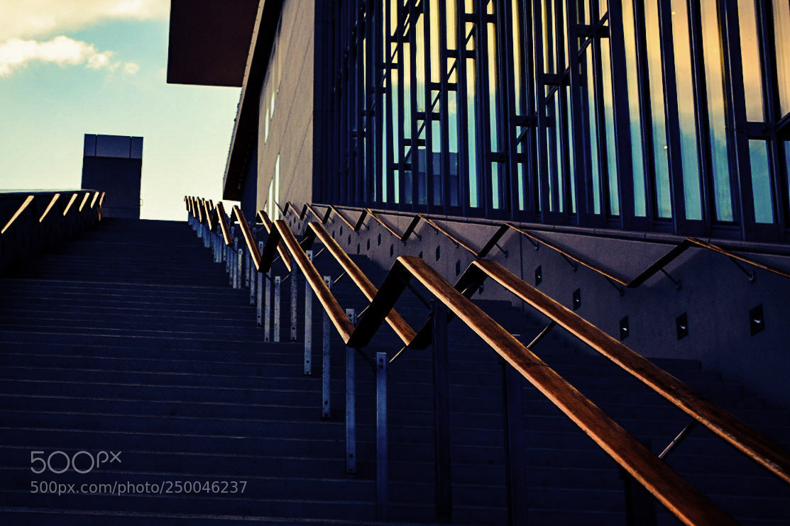 Nikon D3300 sample photo. Stairway to sky photography