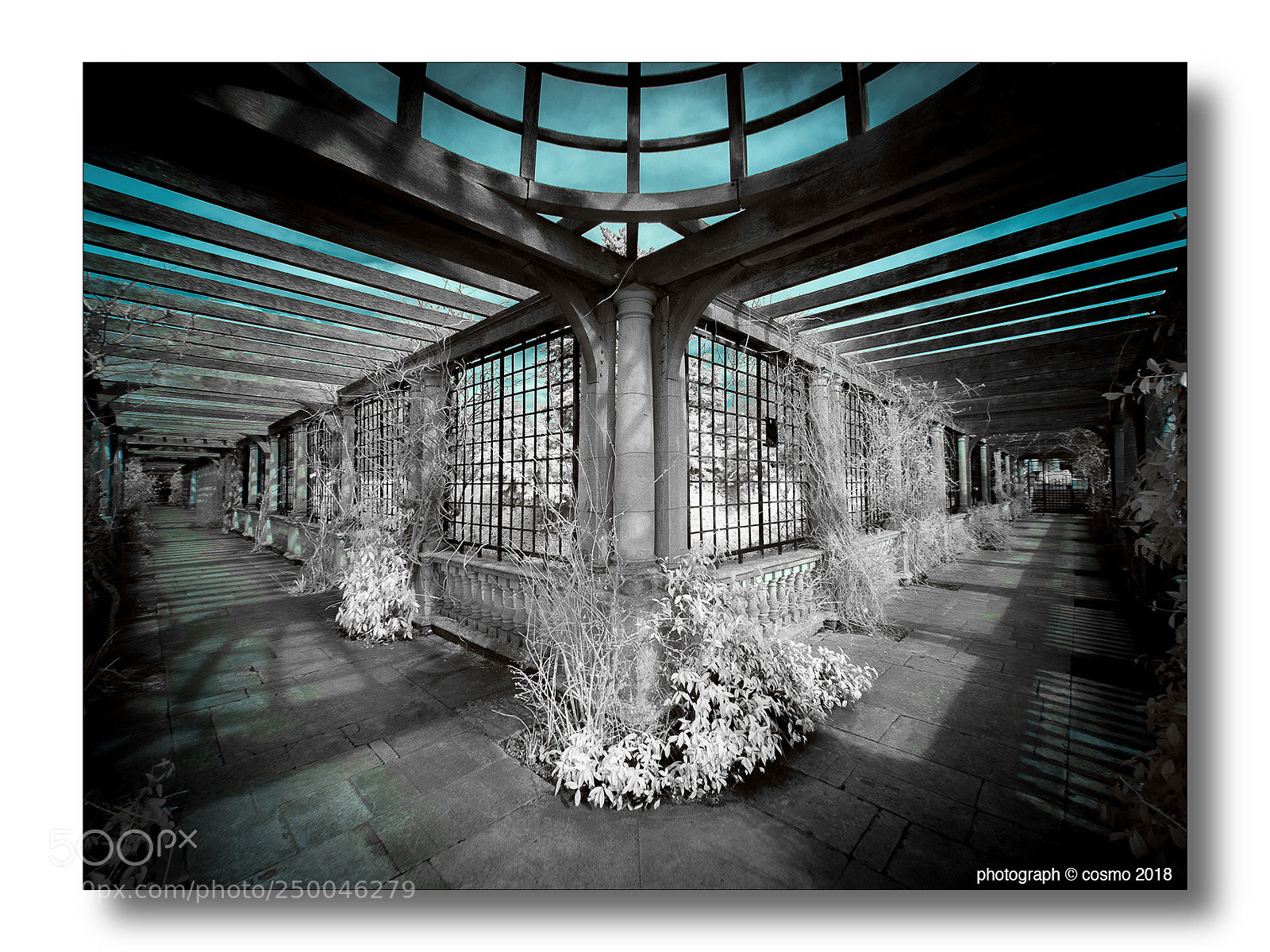 Panasonic Lumix DMC-GX8 sample photo. Hampstead pergola. photography