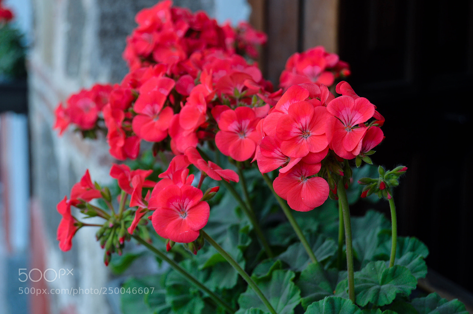 Nikon D3200 sample photo. Dsc photography