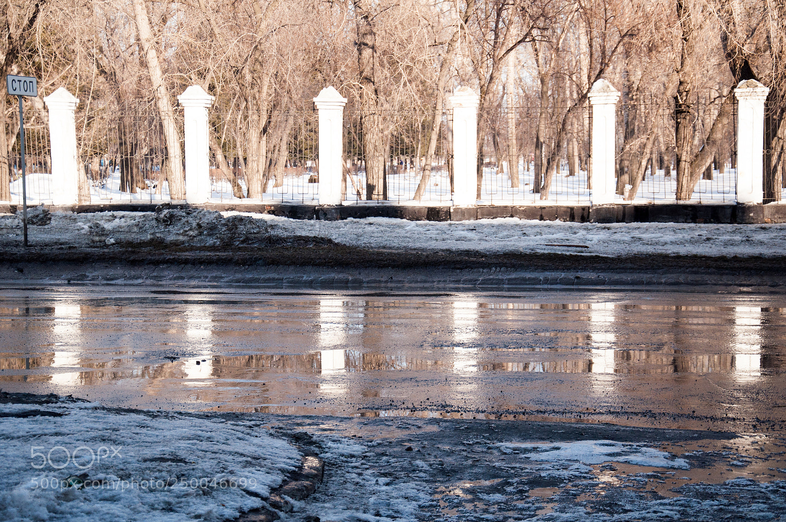 Nikon D5000 sample photo. No more winter! photography