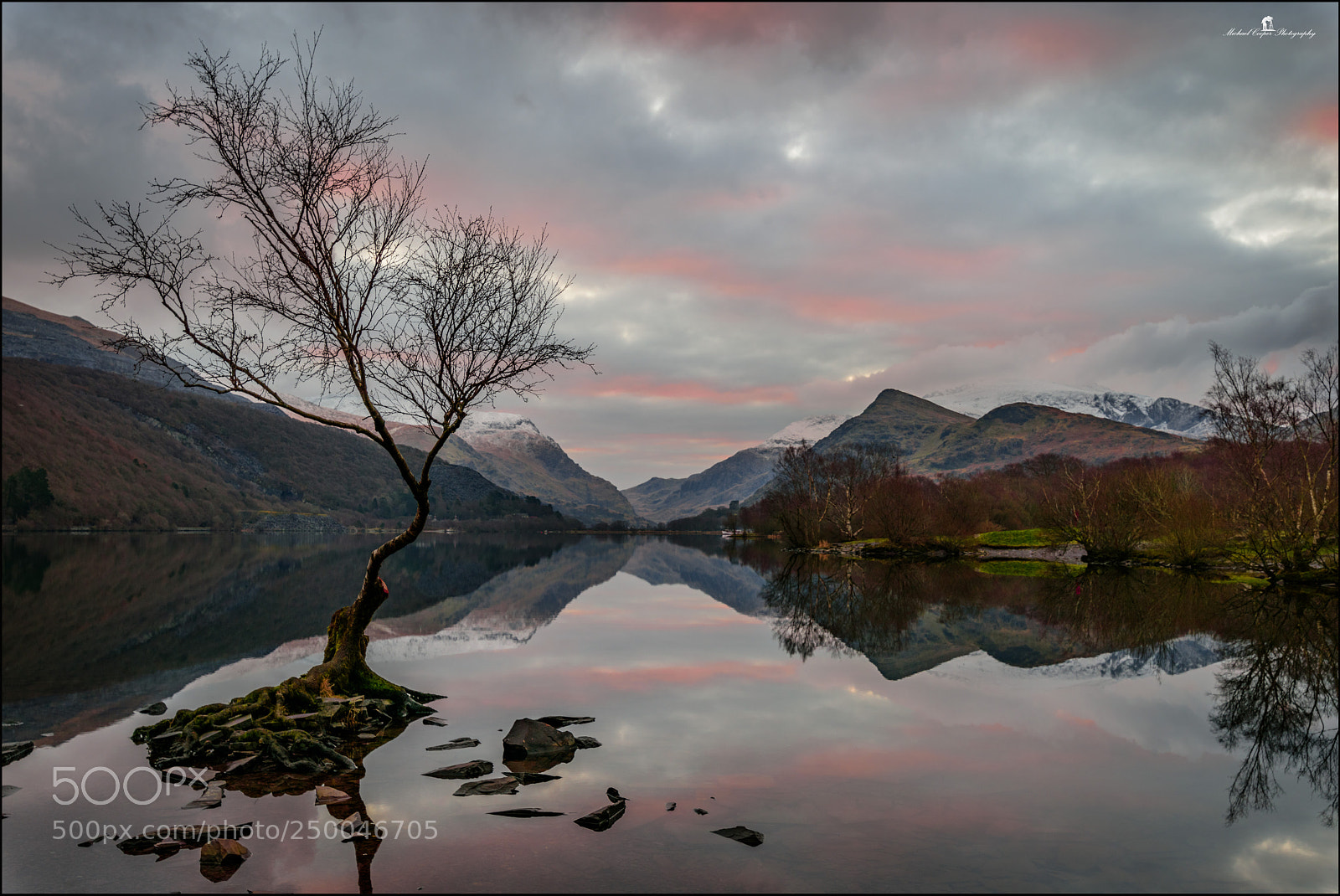 Nikon D810 sample photo. Lonely tree after sunrise photography