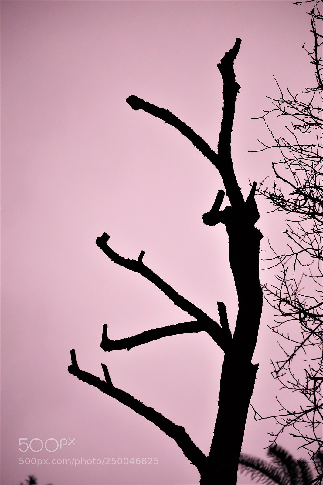 Nikon D3200 sample photo. Untitled photography