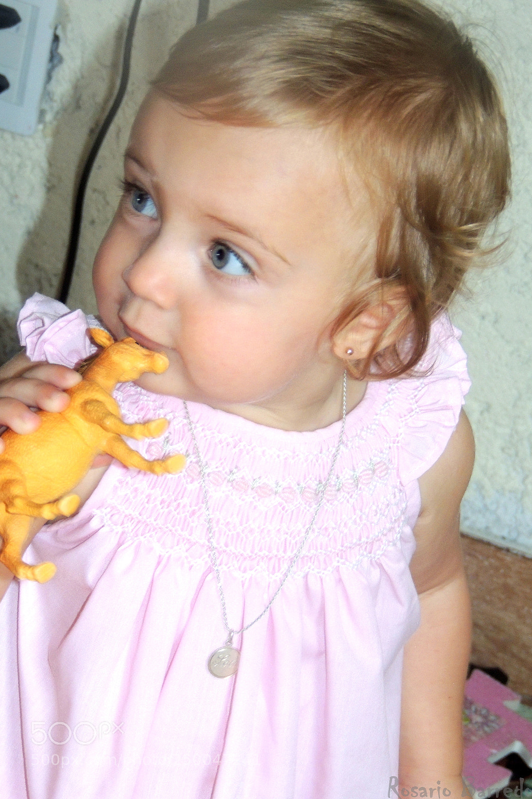 Nikon Coolpix P510 sample photo. Amor!!! photography