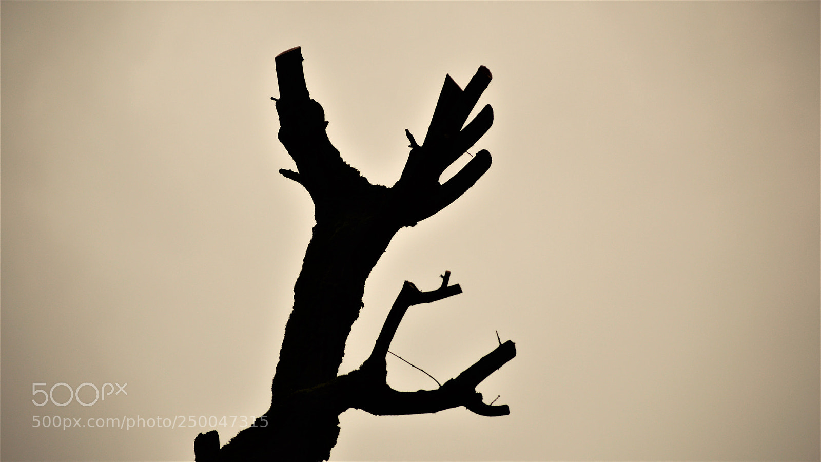 Nikon D3200 sample photo. Untitled photography