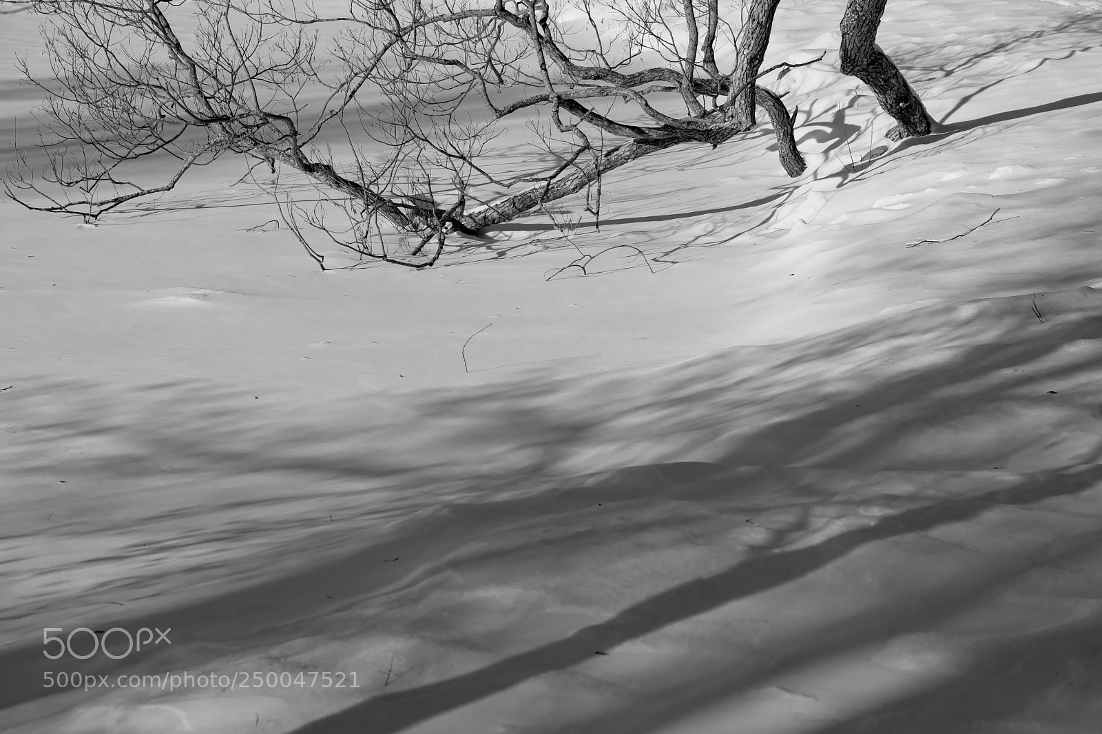 Fujifilm X-T2 sample photo. Shadows photography