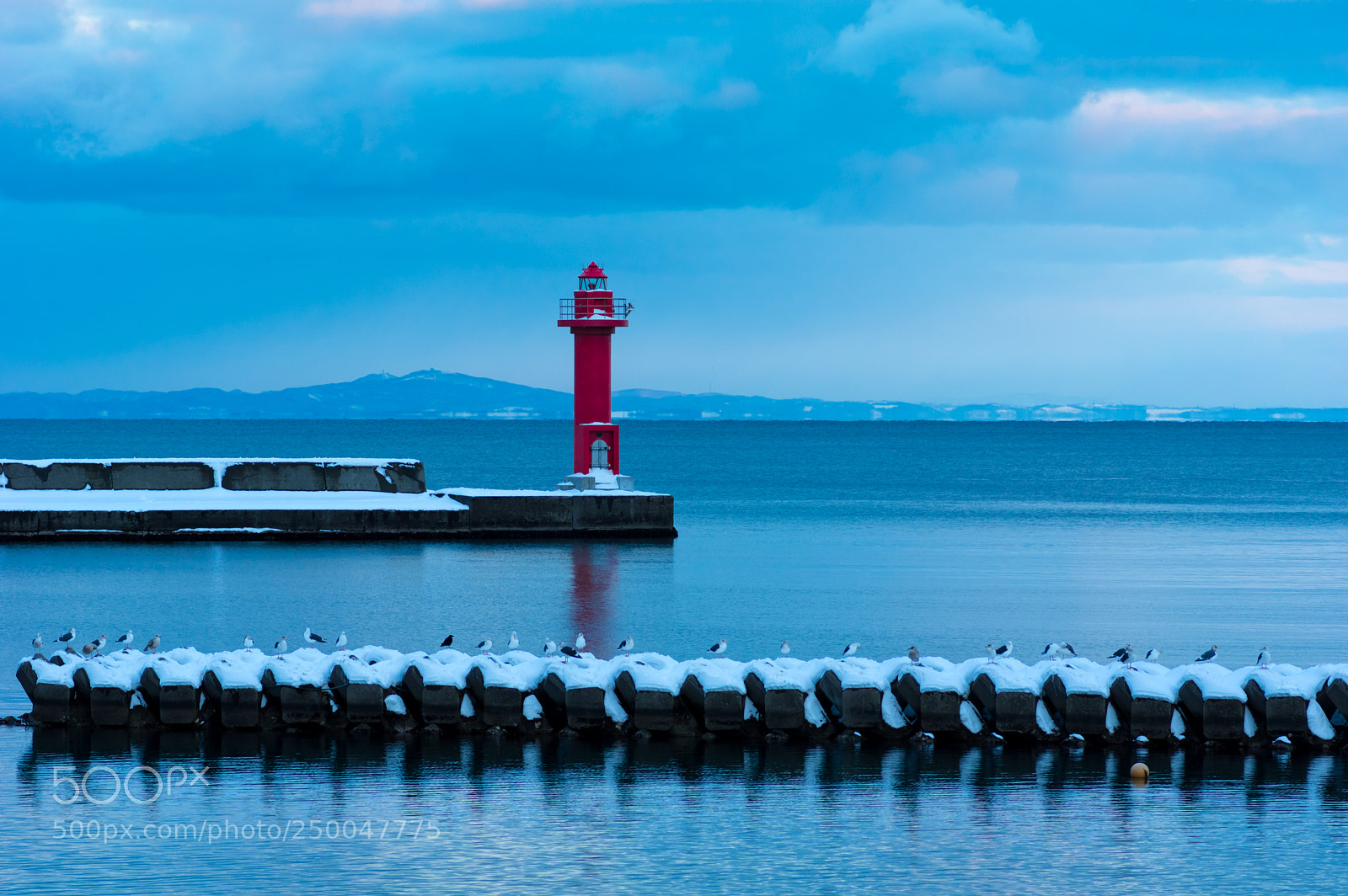 Pentax K-3 sample photo. Seabirds and lighthouse photography