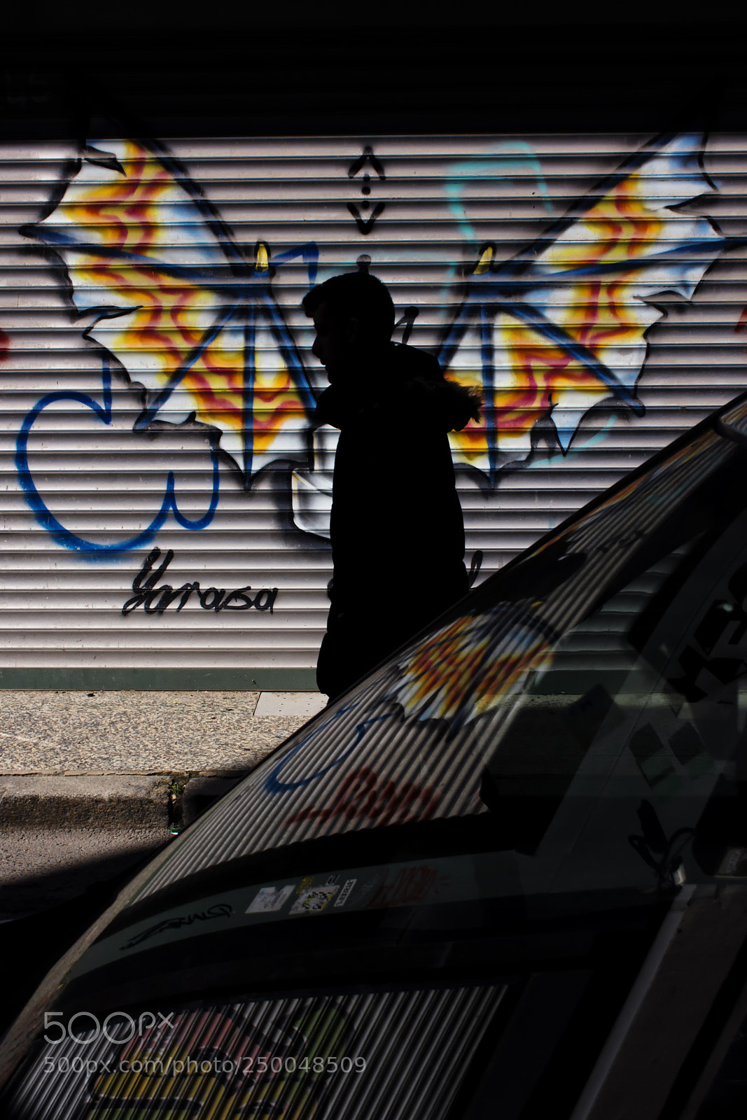 Nikon D7200 sample photo. Wings photography
