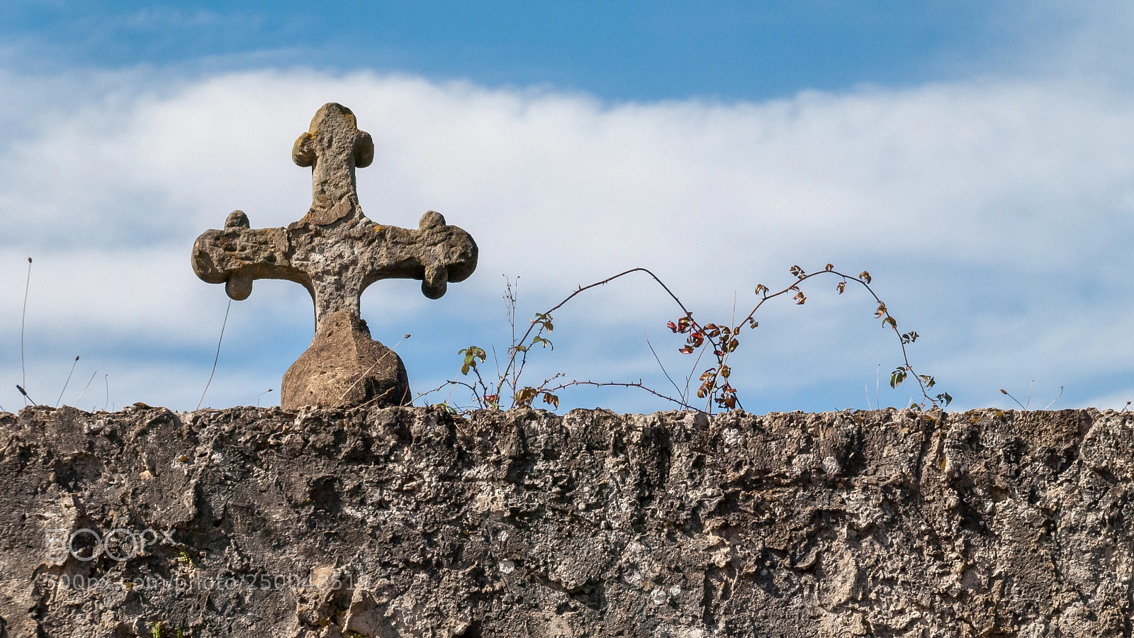 Nikon D3000 sample photo. Tapia de cementerio photography