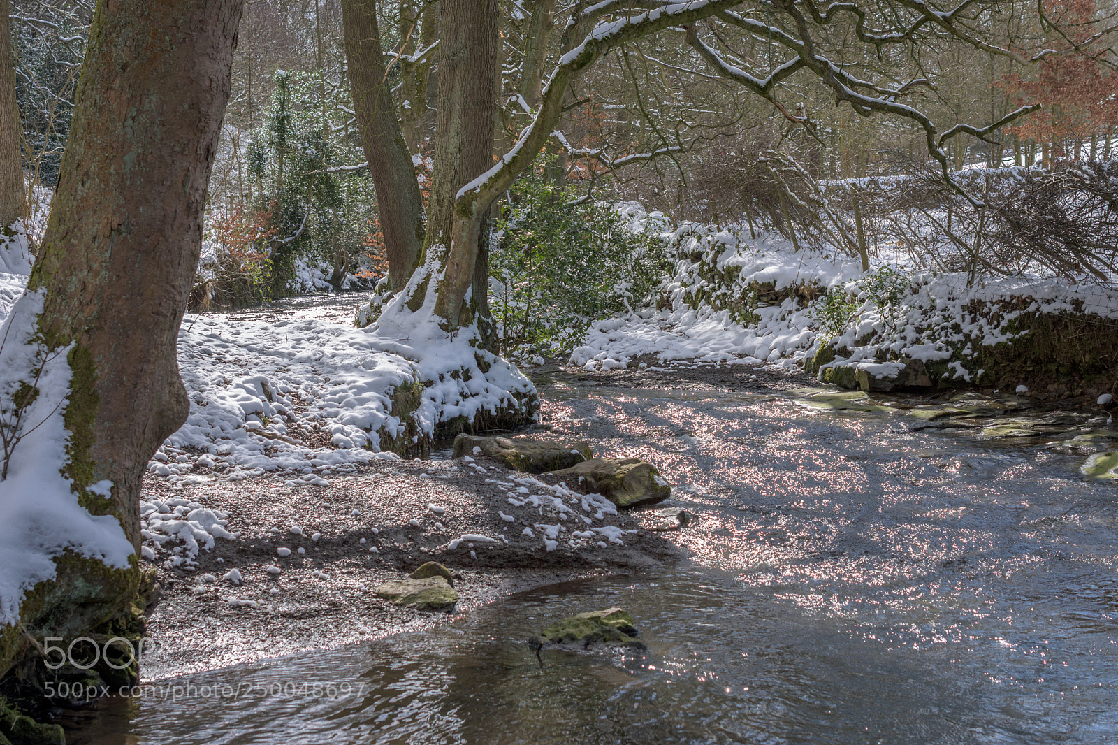 Nikon D7200 sample photo. Winter stream photography