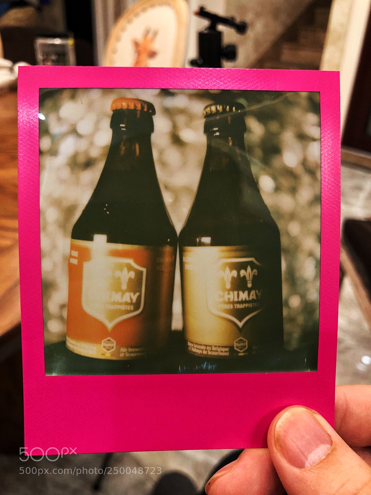 Apple iPhone X sample photo. Polaroid photography polaroidoriginals slr690 photography