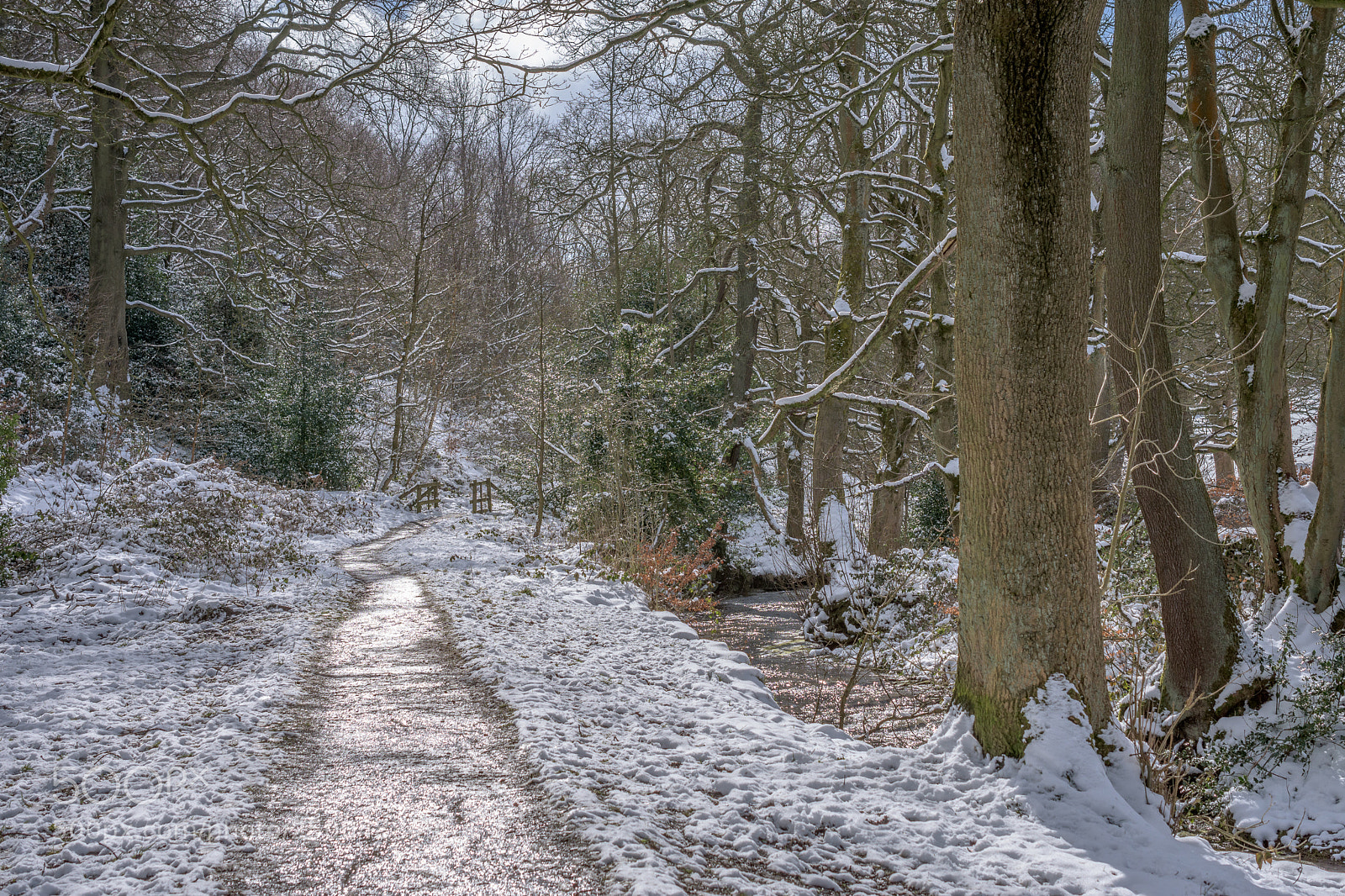 Nikon D7200 sample photo. Woodland footpath#2 photography