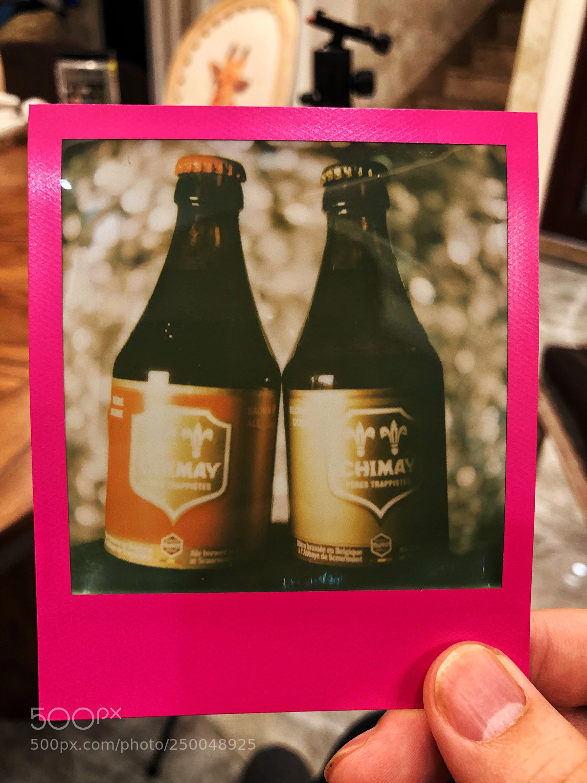 Apple iPhone X sample photo. Polaroid photography polaroidoriginals slr690 photography
