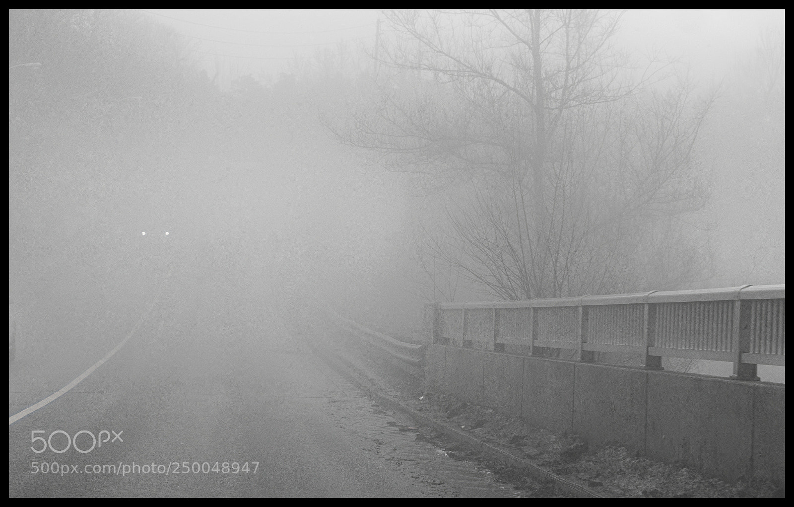 Nikon D3300 sample photo. Foggy road - caution photography