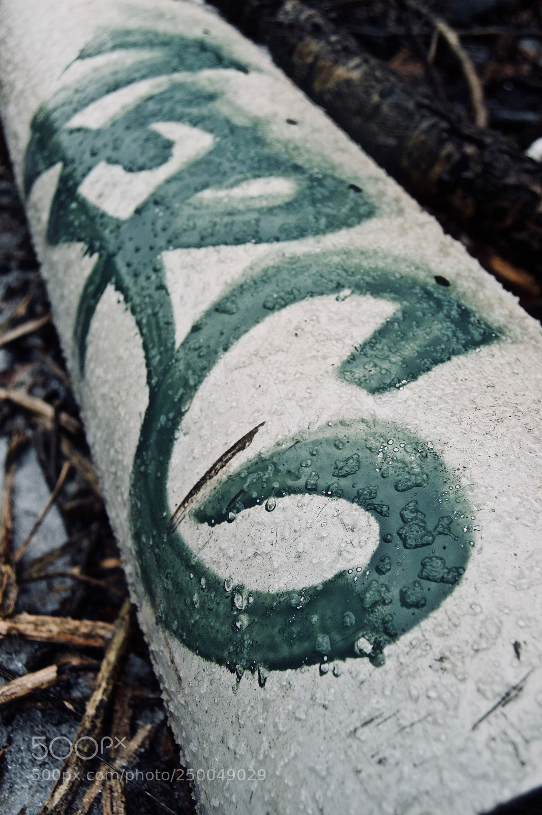 Nikon D3100 sample photo. Icy photography