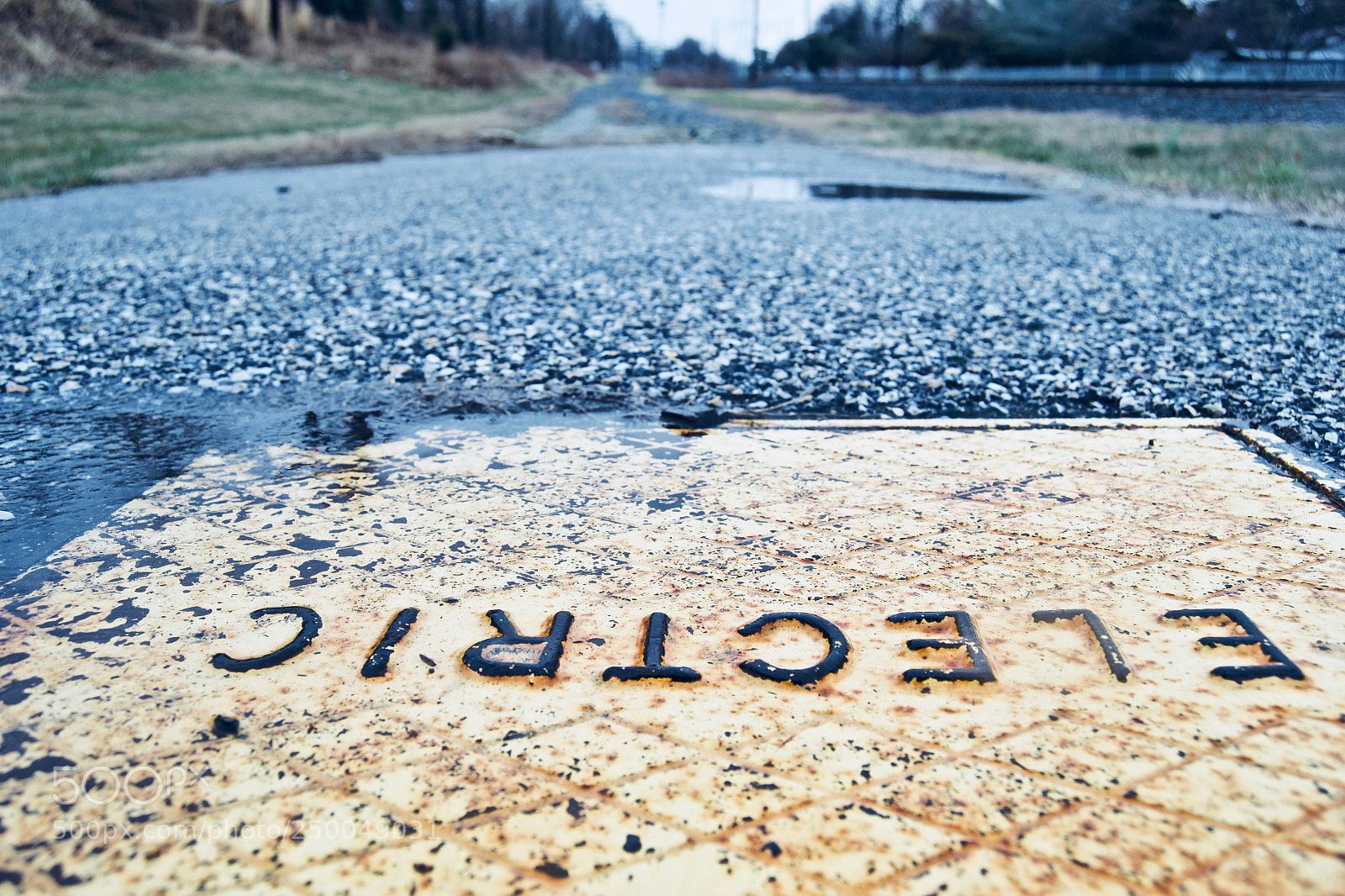Nikon D3100 sample photo. Electric photography