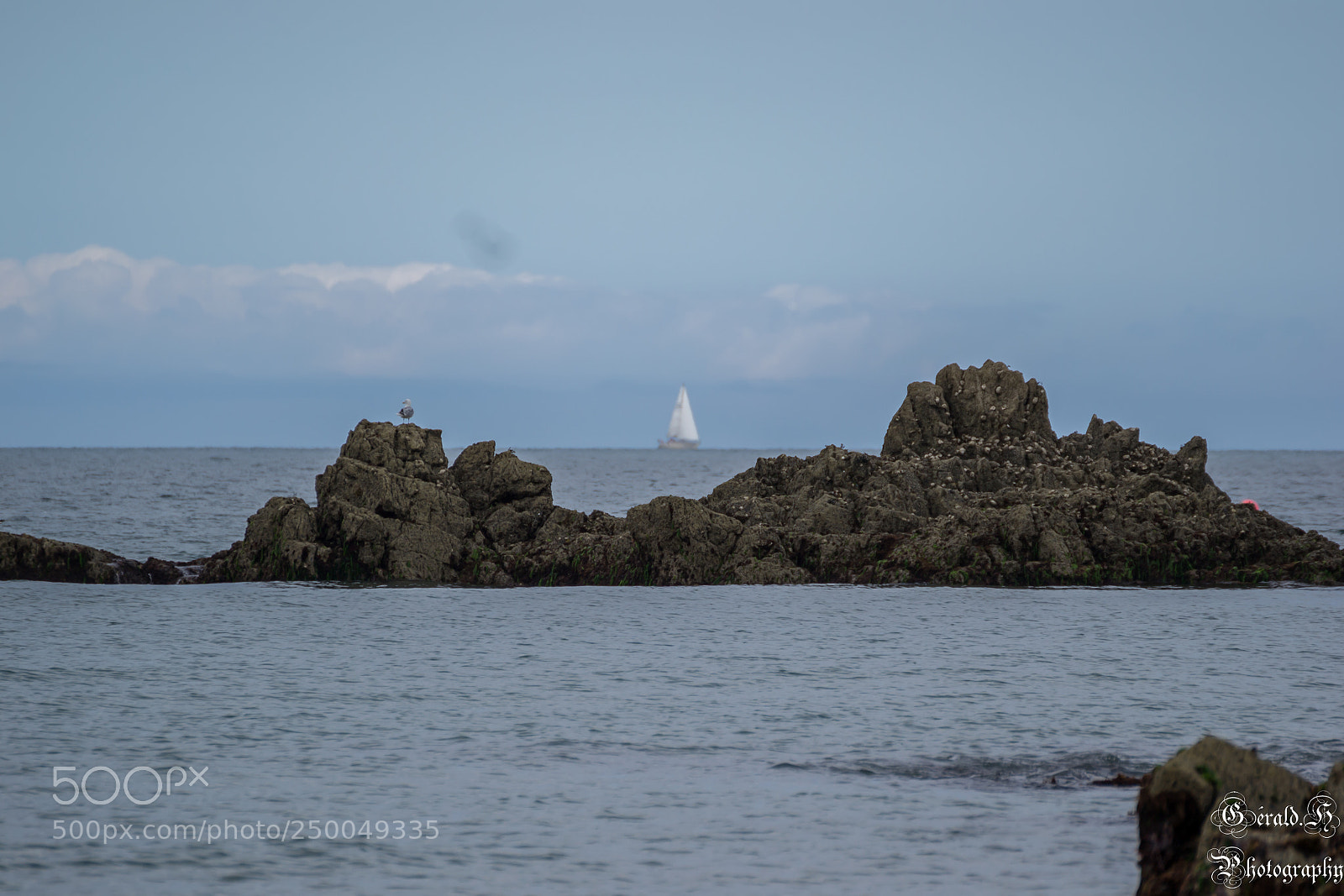Nikon D3100 sample photo. Bon voyage photography