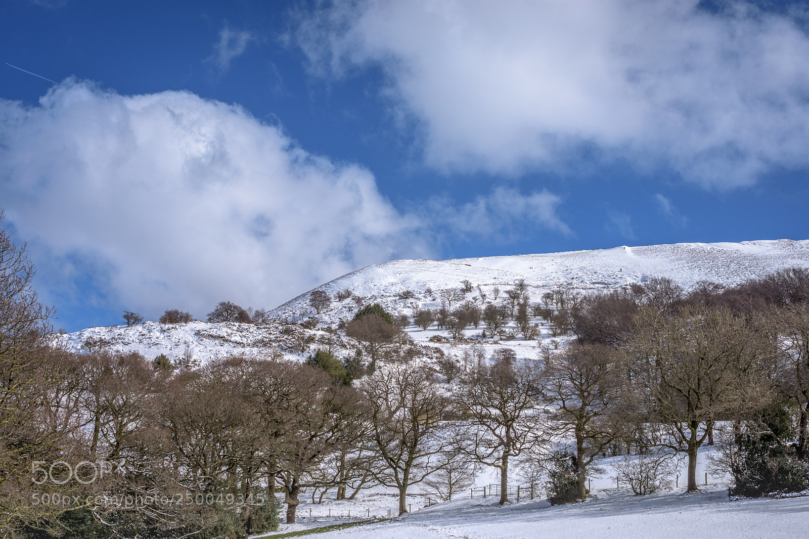 Nikon D7200 sample photo. Cheese gate nab, near photography