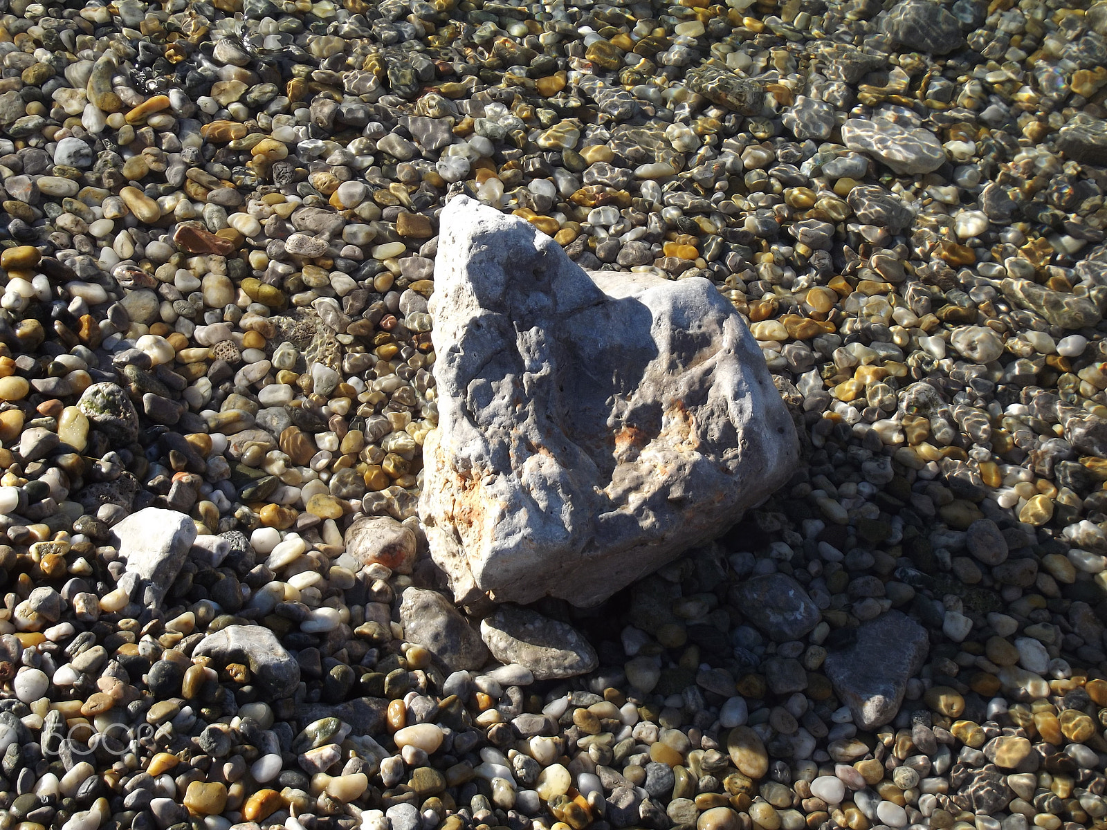 FujiFilm FinePix S2950 (FinePix S2990) sample photo. Rock on a beach photography