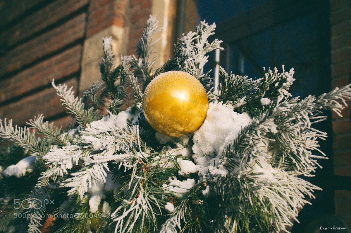 Nikon D7000 sample photo. Новогоднее украшение photography
