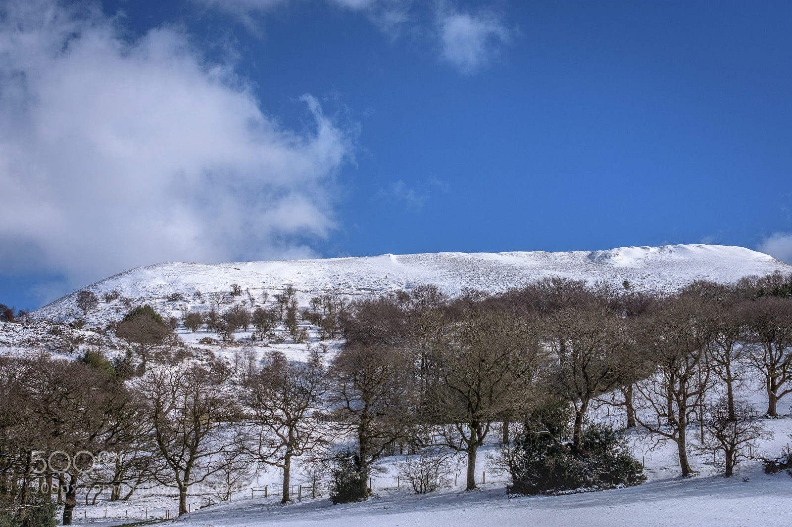 Nikon D7200 sample photo. Cheese gate nab, near photography