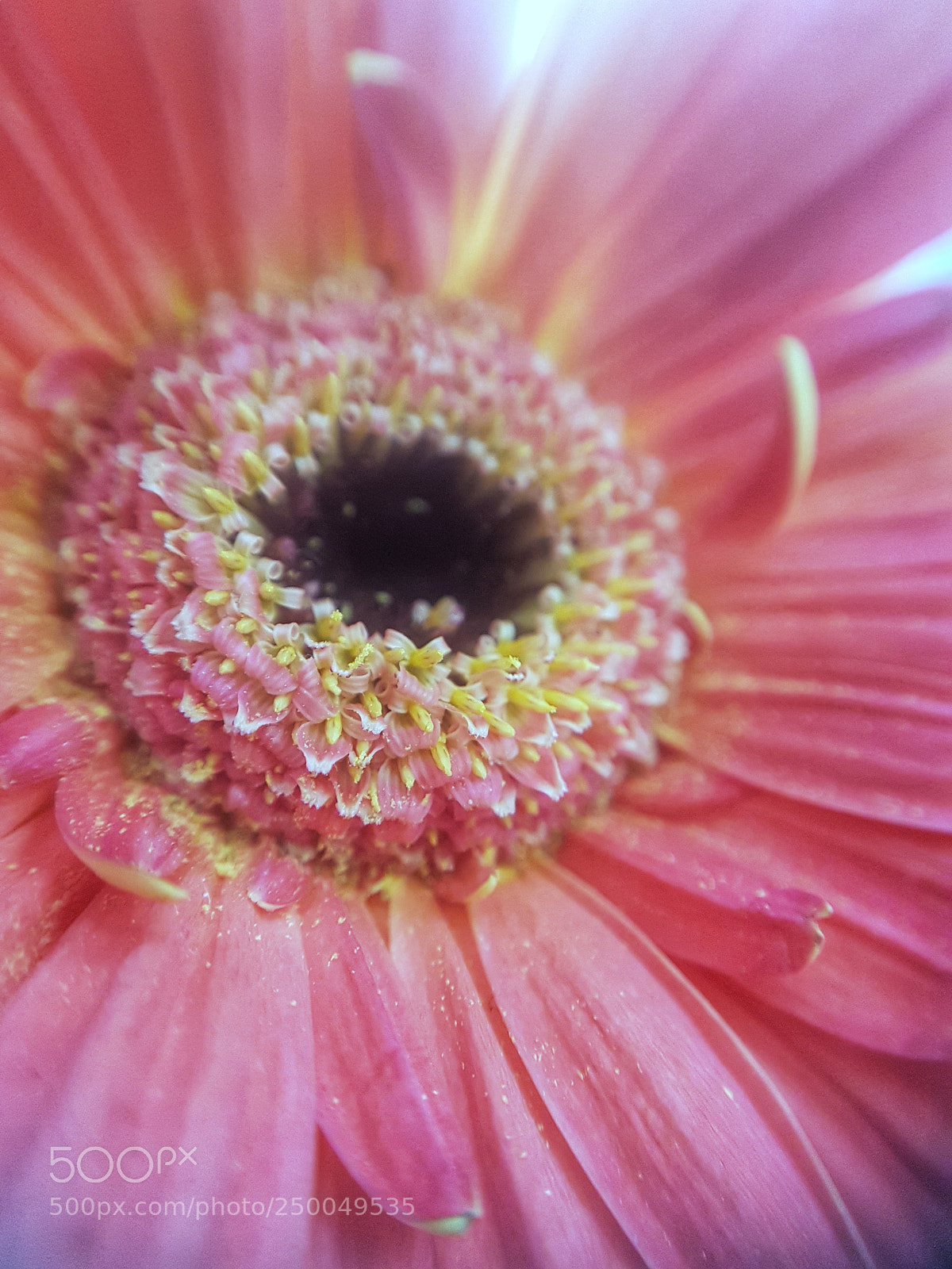 Samsung Galaxy S7 sample photo. Untitled photography