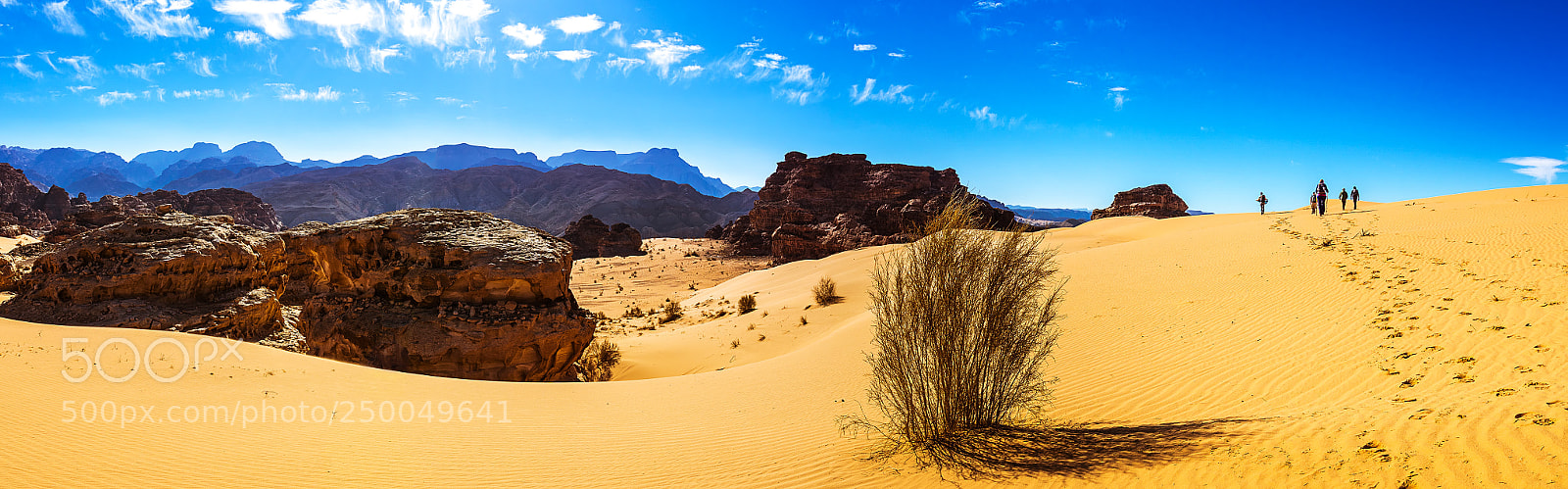 Sony ILCA-77M2 sample photo. Beating the sand photography