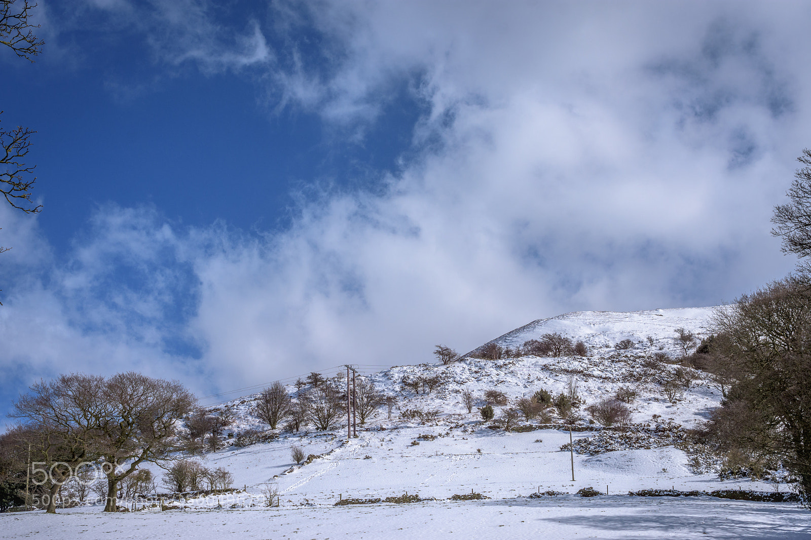 Nikon D7200 sample photo. Cheese gate nab, near photography