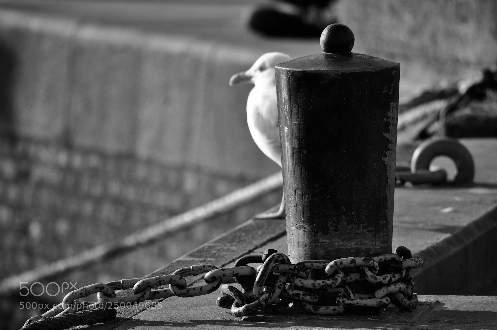Nikon D5000 sample photo. Sur le port de photography