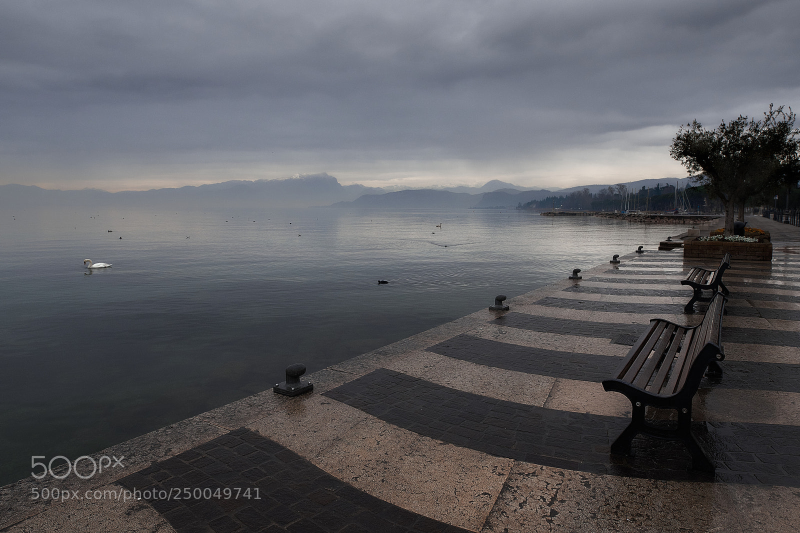 Nikon D800E sample photo. Lazise photography