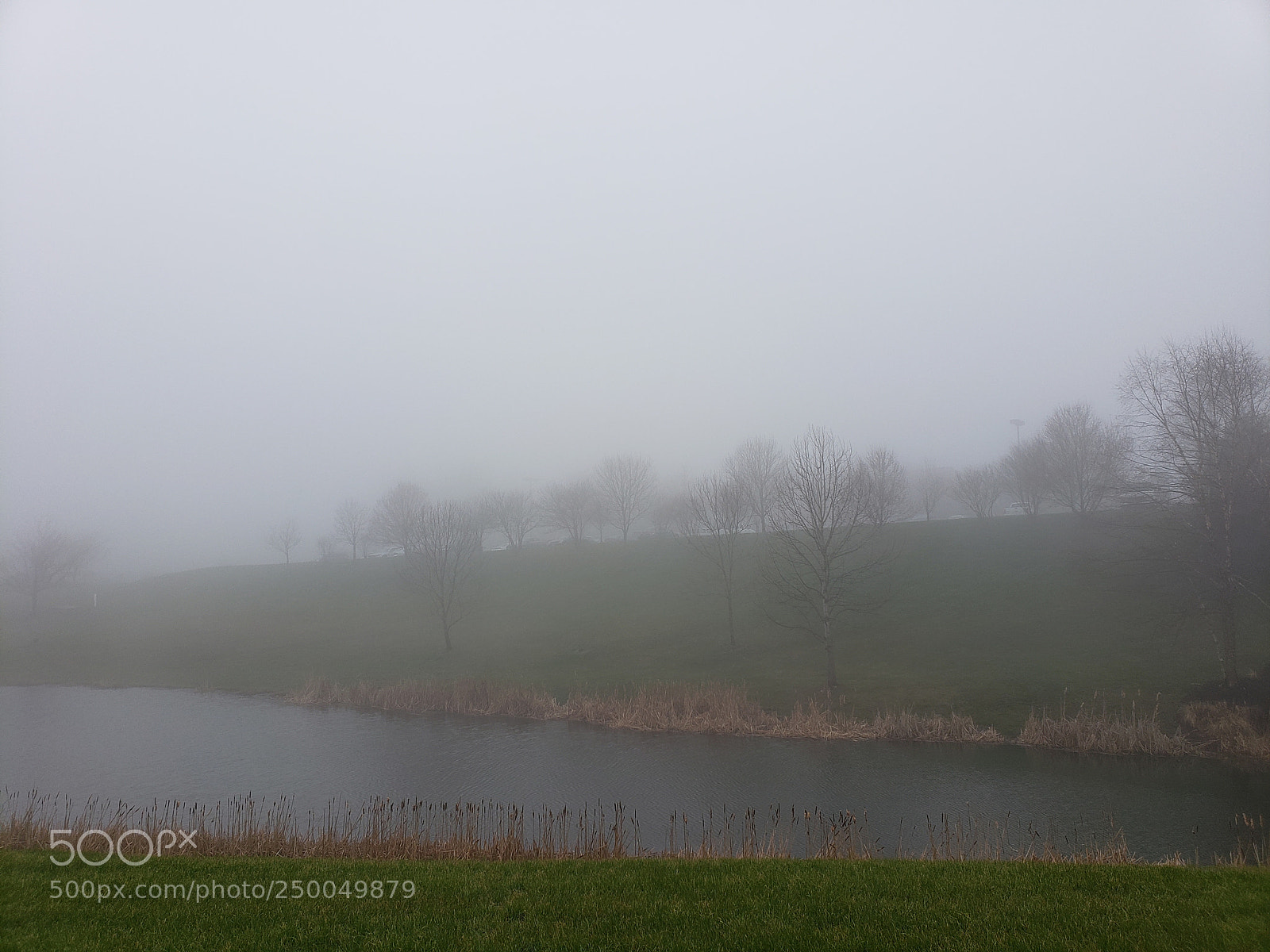 Samsung Galaxy S9+ sample photo. Fog photography