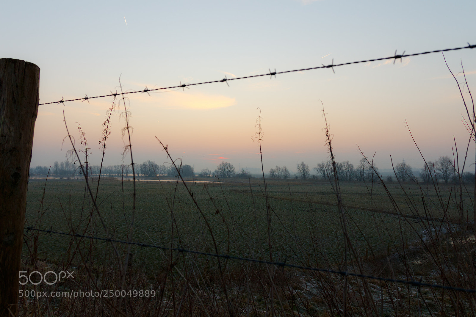 Canon EOS 700D (EOS Rebel T5i / EOS Kiss X7i) sample photo. Wire in the sky photography
