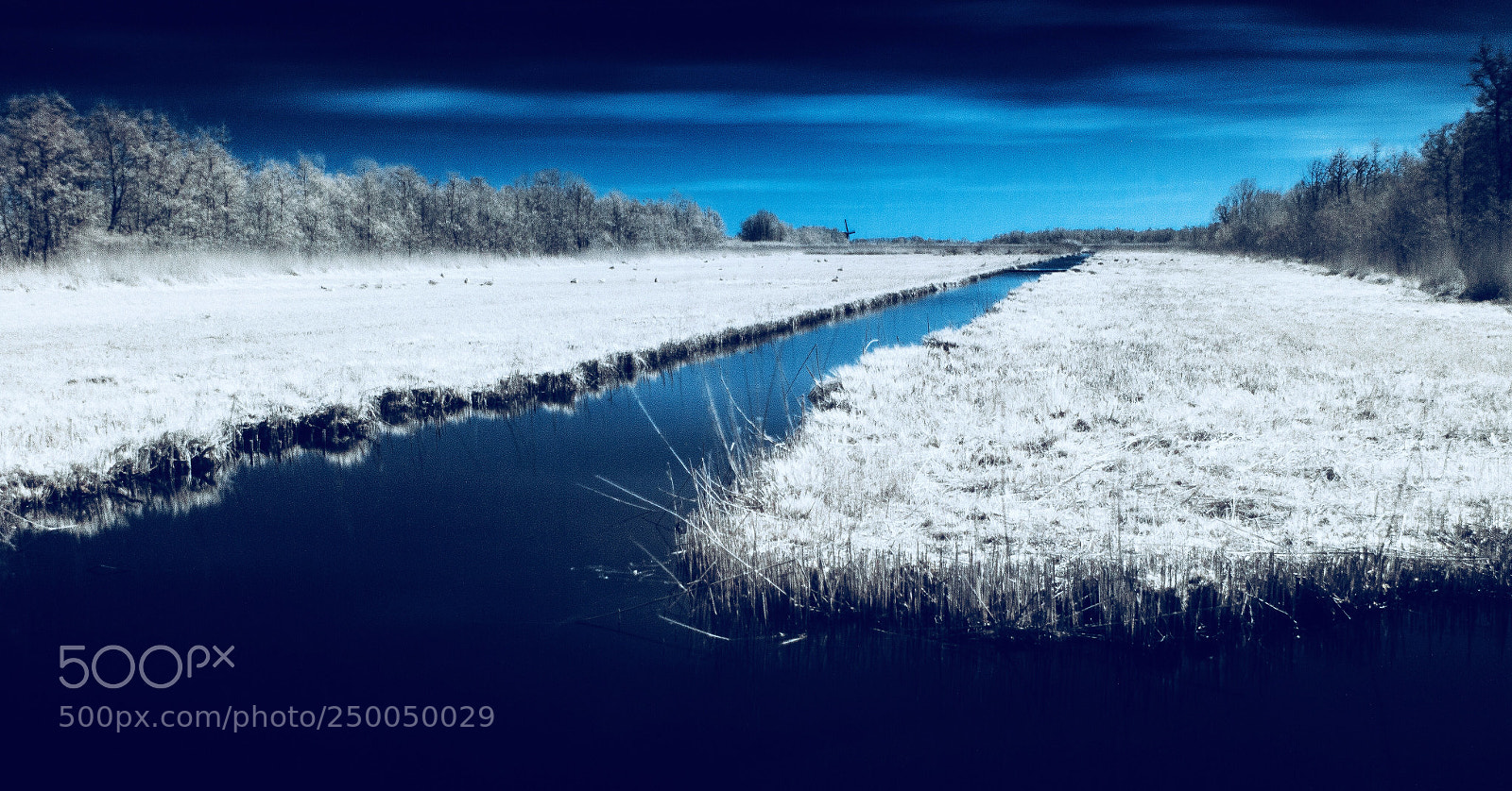 Canon EOS 700D (EOS Rebel T5i / EOS Kiss X7i) sample photo. Infrared 760nm photography