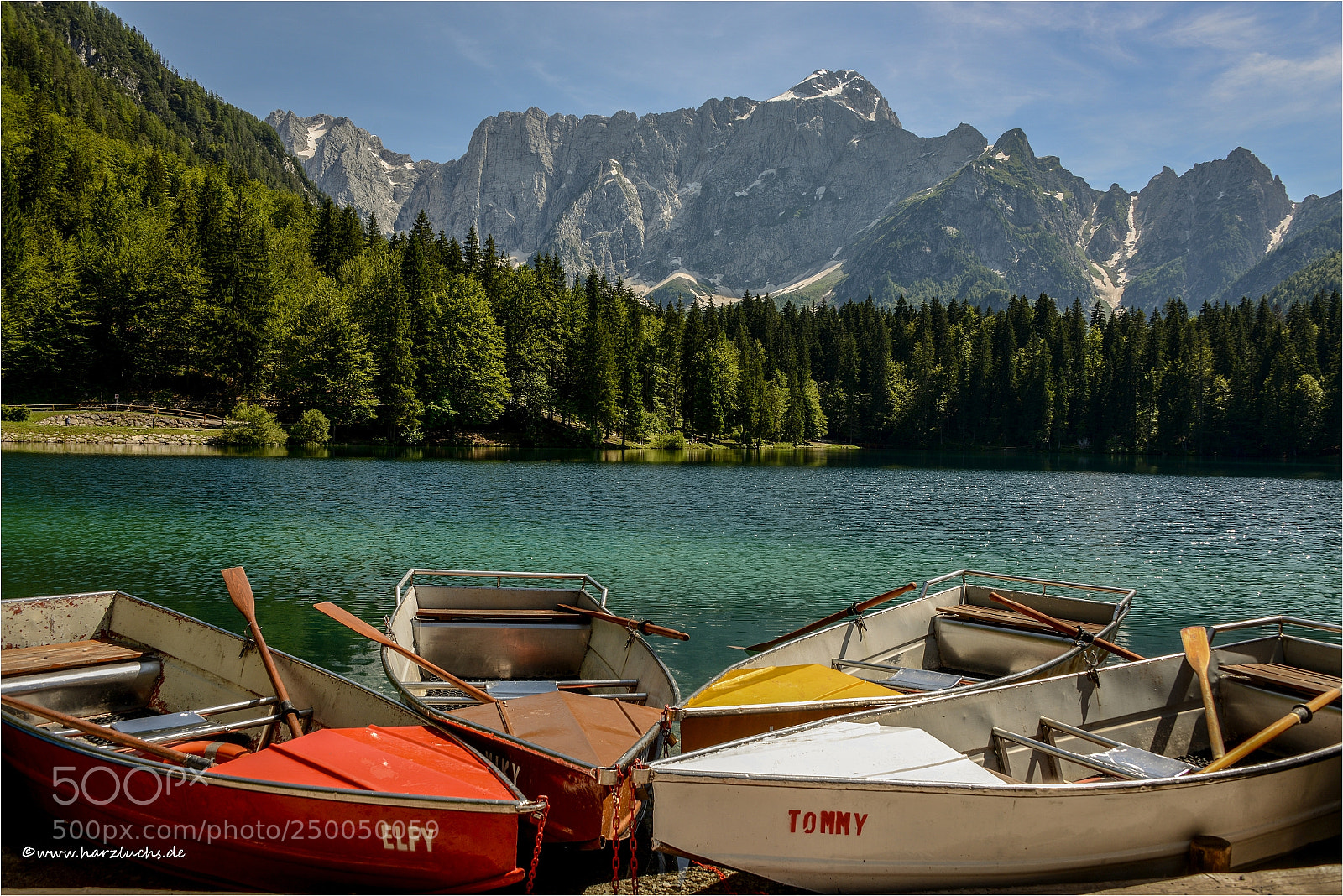 Nikon D800 sample photo. Lago di fusine photography