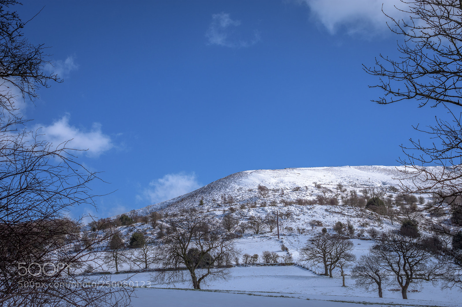 Nikon D7200 sample photo. Cheese gate nab, near photography