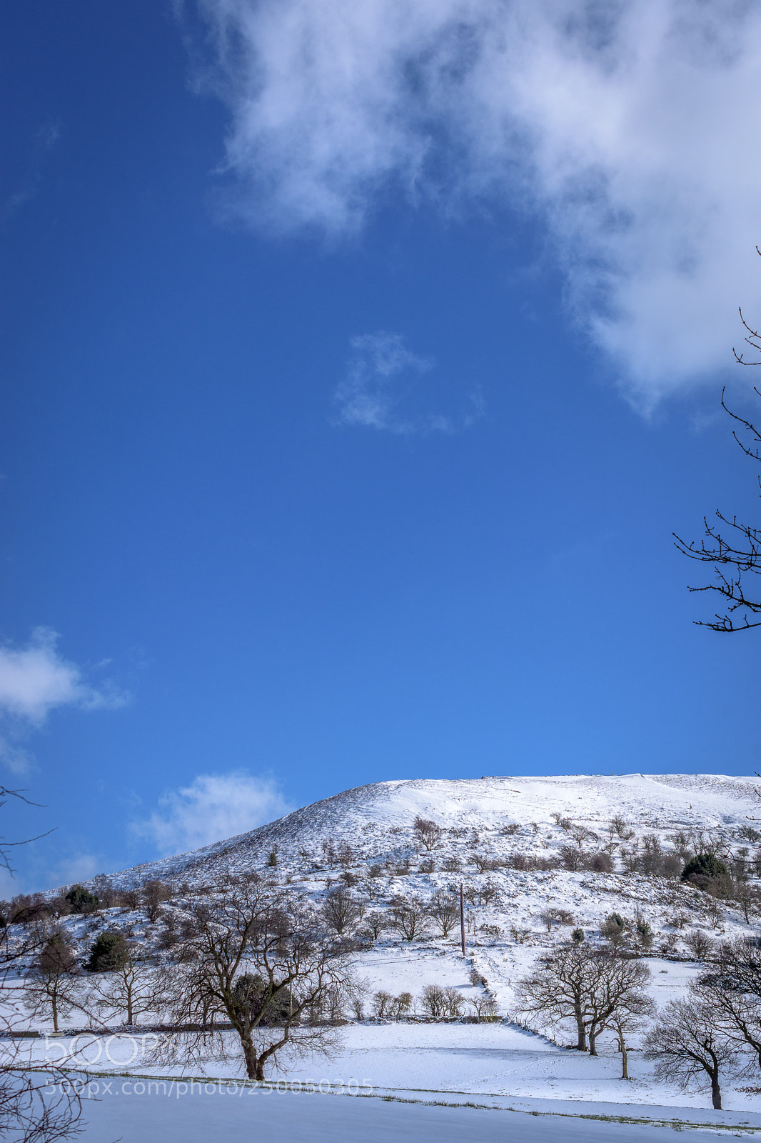Nikon D7200 sample photo. Cheese gate nab, near photography