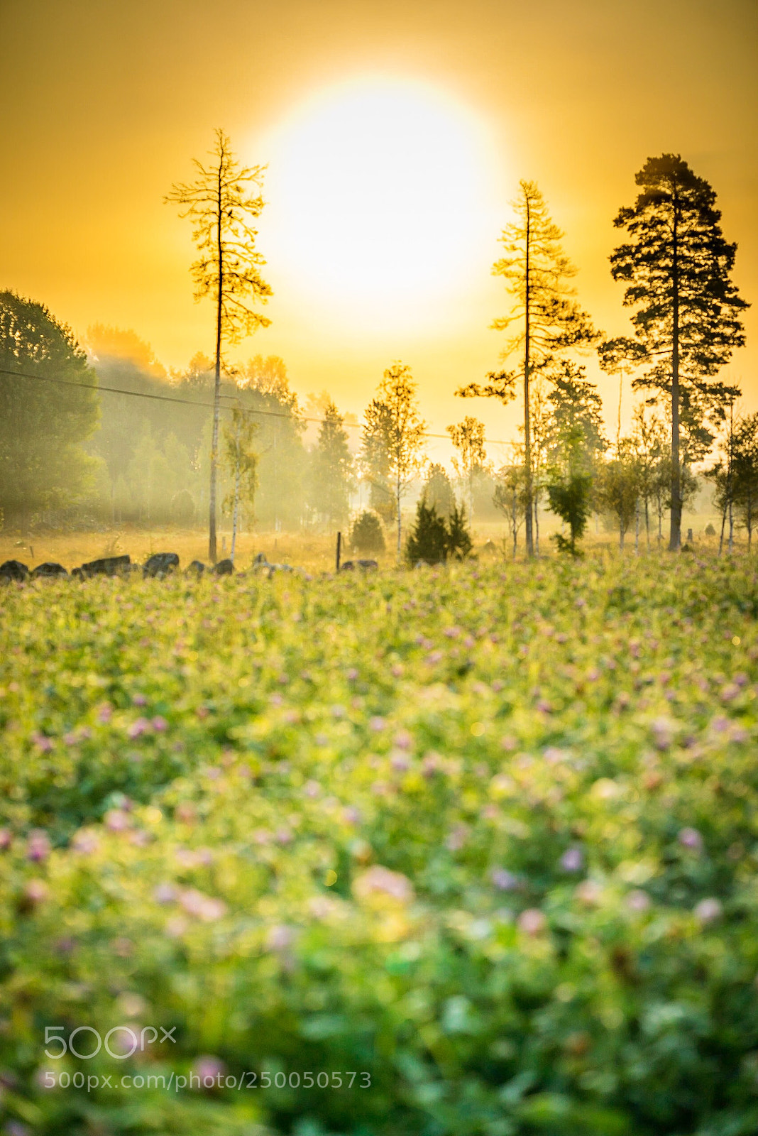 Sony a7R sample photo. Sunrise 2 photography