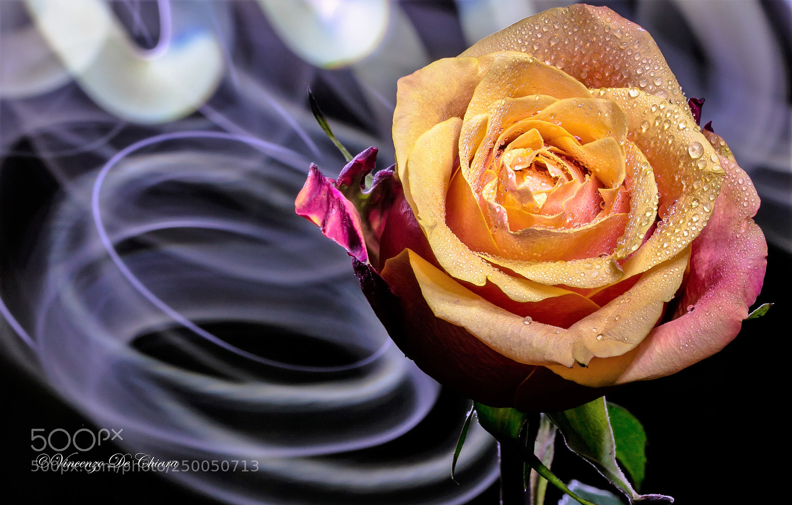 Canon EOS 5DS sample photo. Girella photography