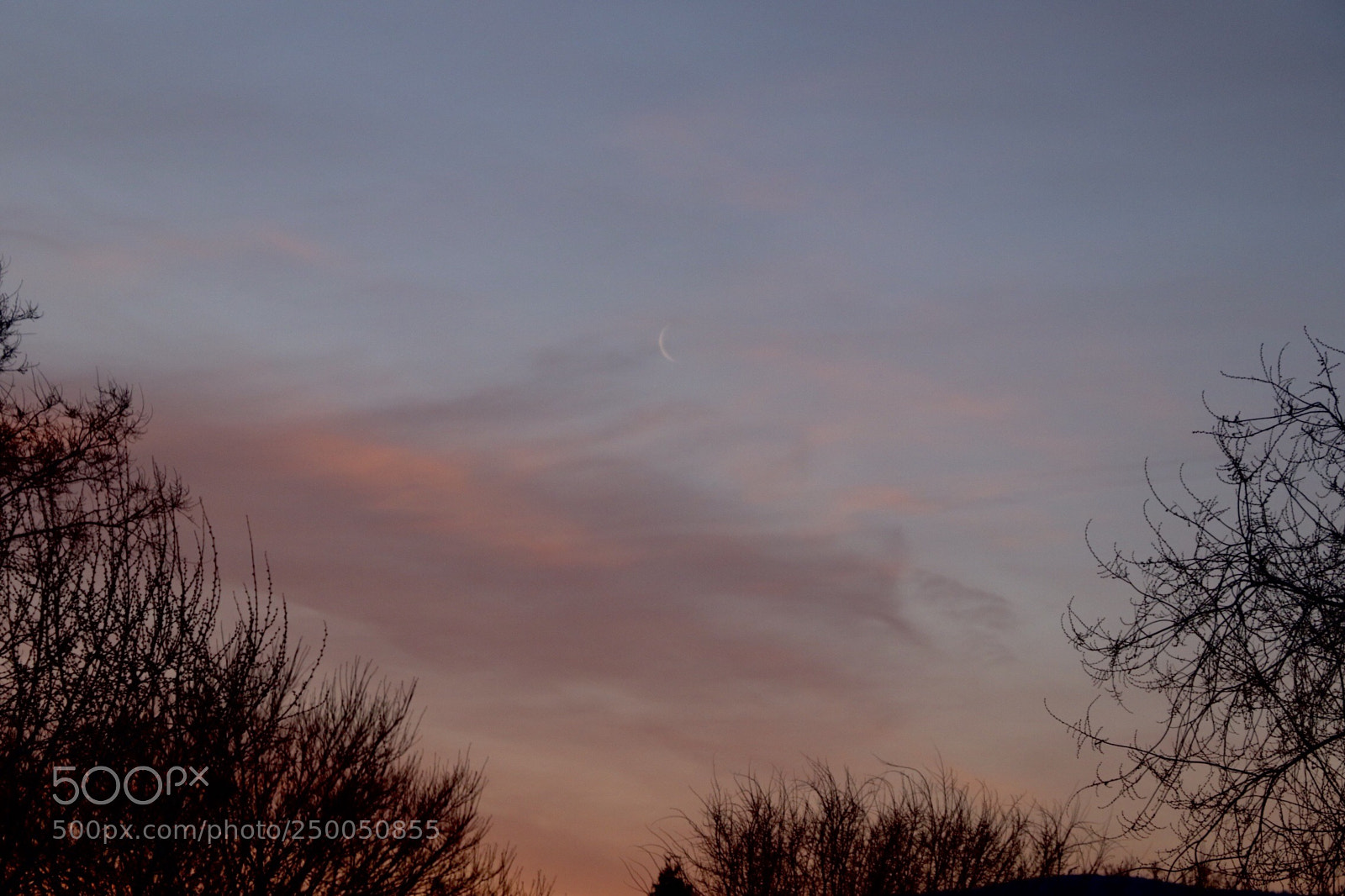 Canon EOS 800D (EOS Rebel T7i / EOS Kiss X9i) sample photo. Sunrise  photography