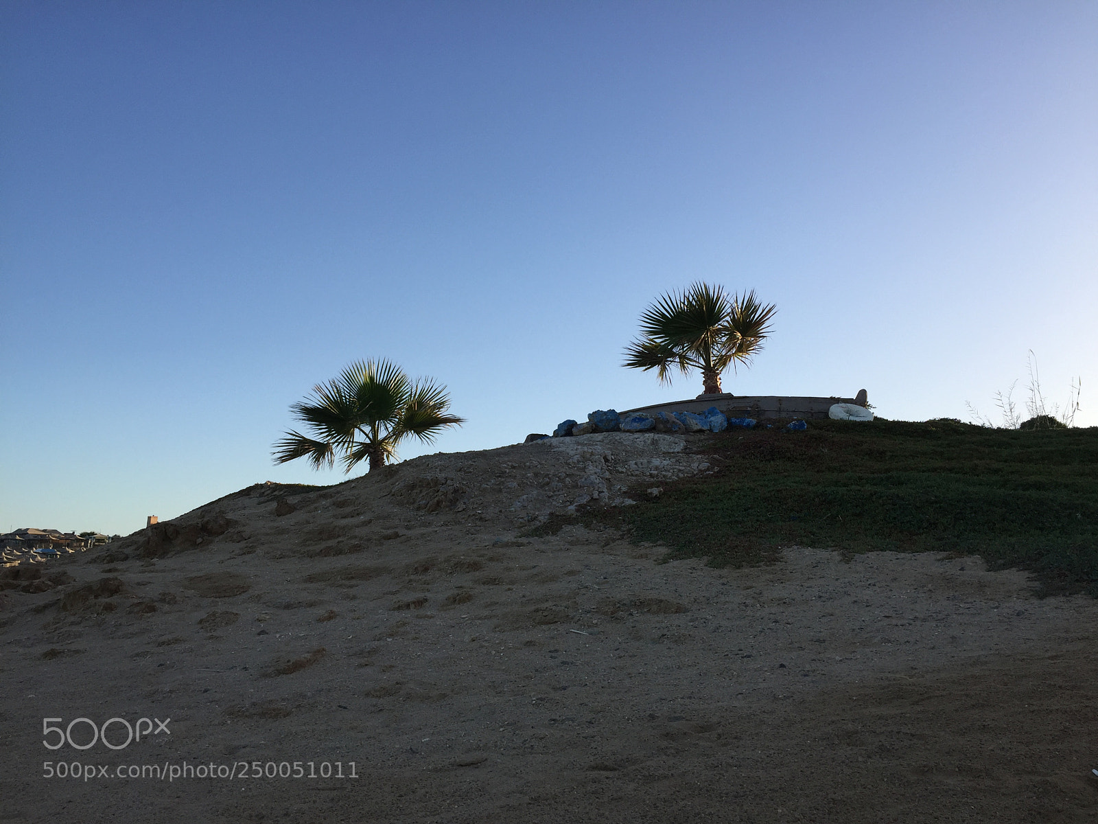 Apple iPhone 6 sample photo. Strand , marsa alam photography