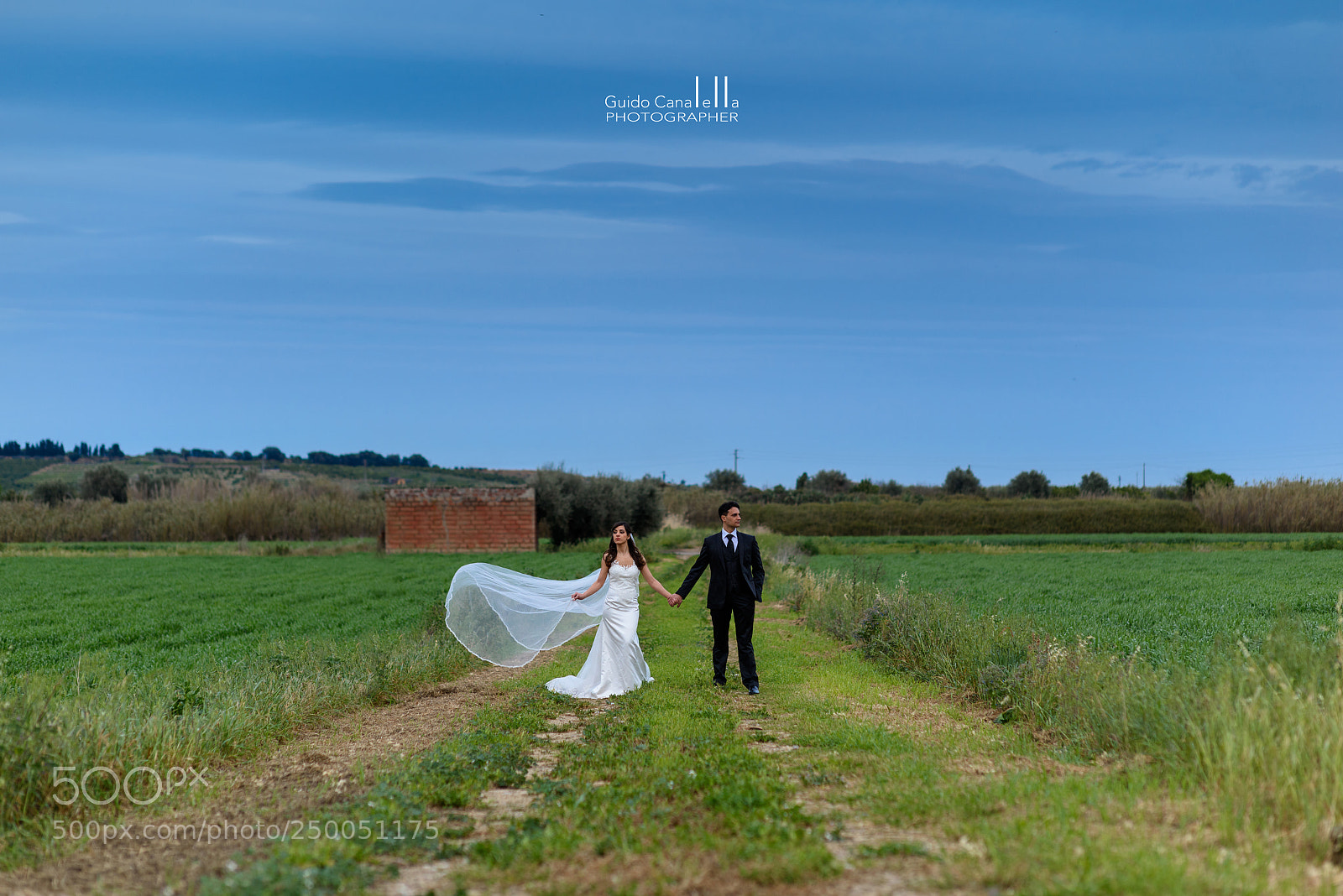 Nikon D810 sample photo. Gui photography