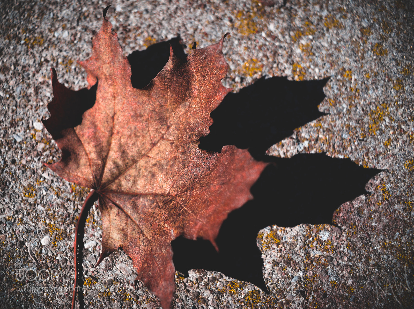 Nikon D3100 sample photo. Ob&sh photography