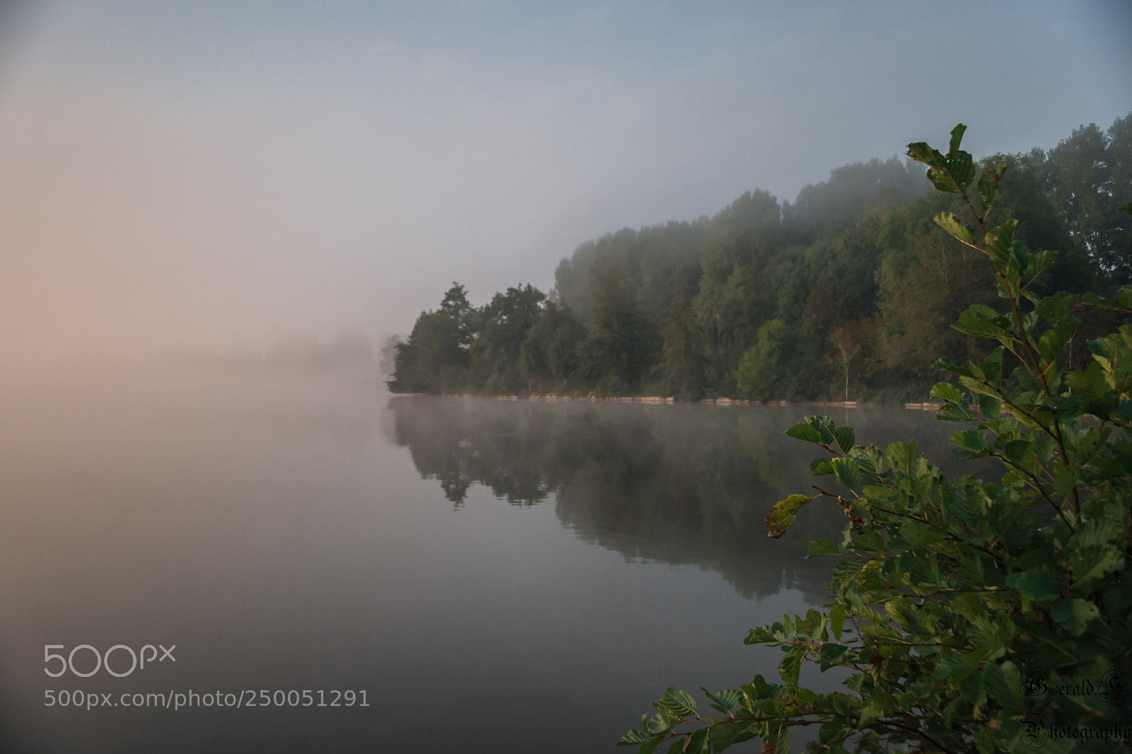 Nikon D3100 sample photo. Brume et soleil photography