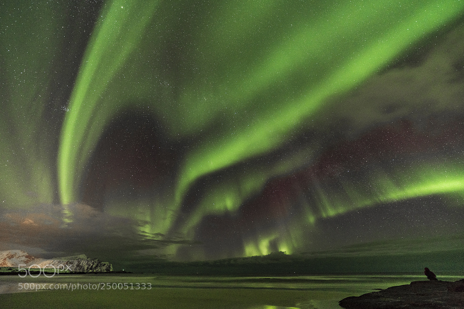 Sony a7R III sample photo. Lofoten aurora 4 photography