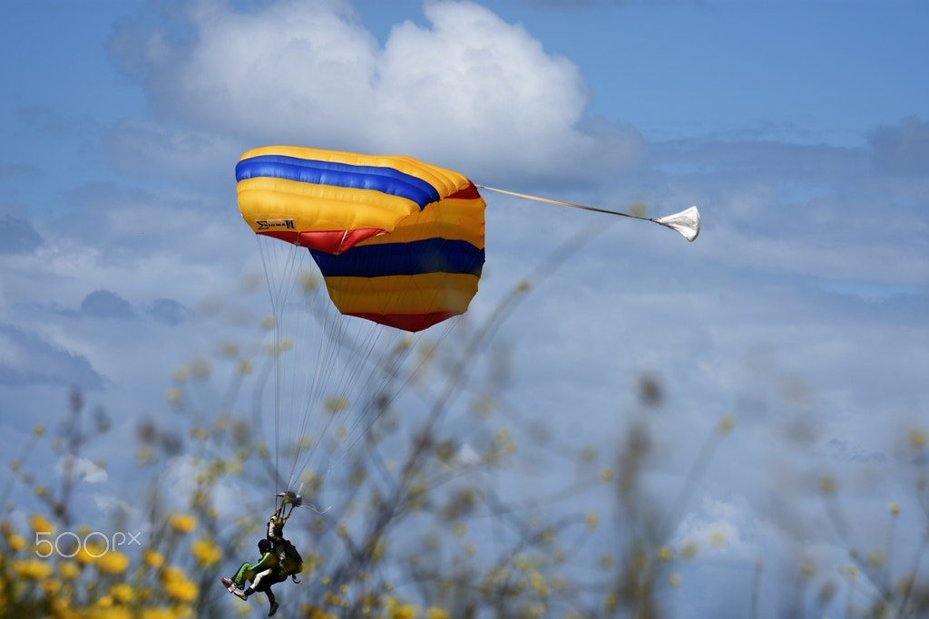 Nikon D7200 sample photo. Landing photography