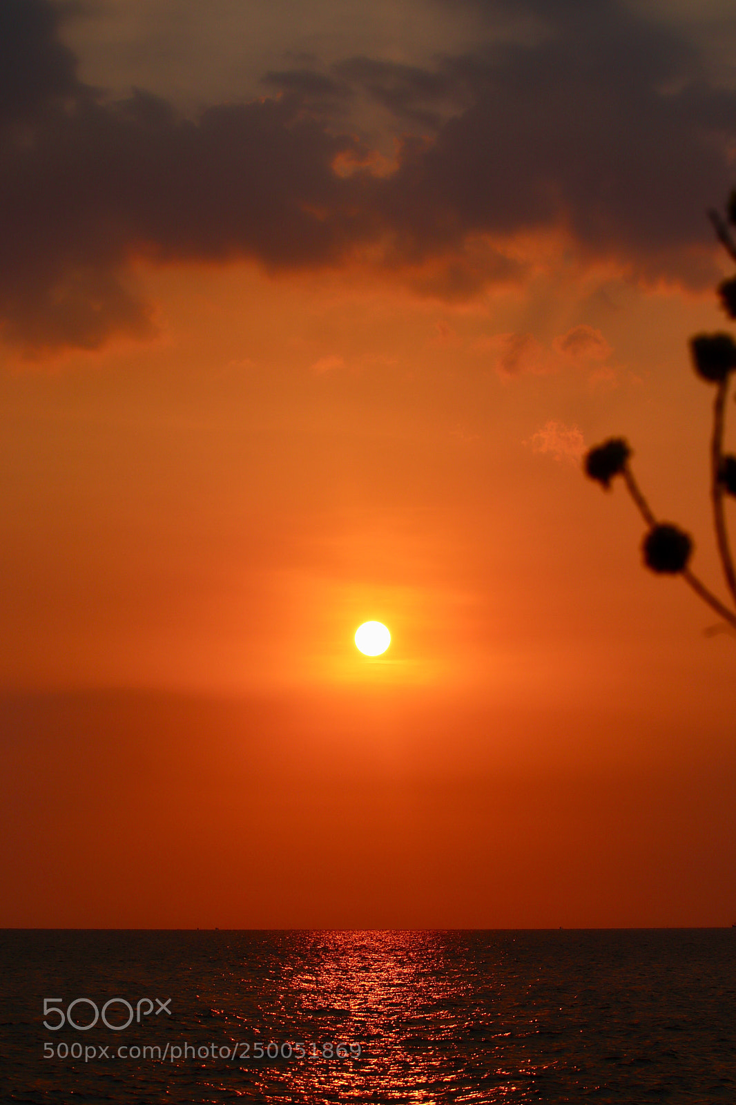 Canon EOS 77D (EOS 9000D / EOS 770D) sample photo. Sunset photography
