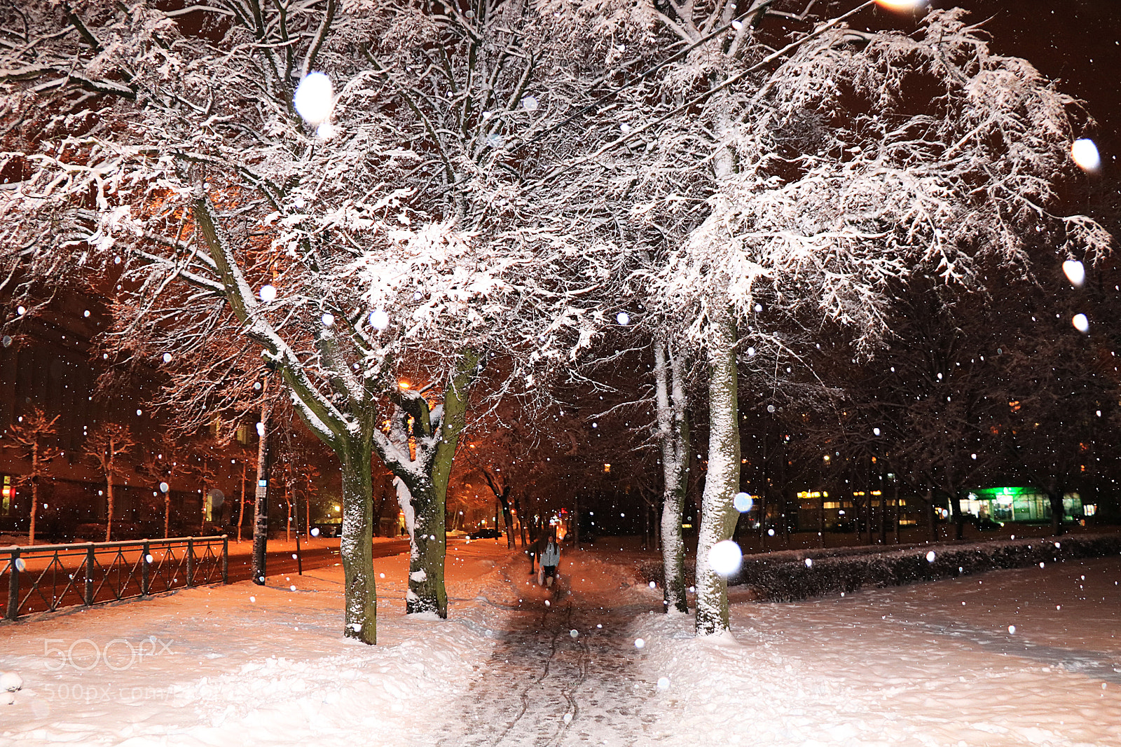 Canon EOS 750D (EOS Rebel T6i / EOS Kiss X8i) sample photo. Красное Село,Санкт-Петербург,март photography