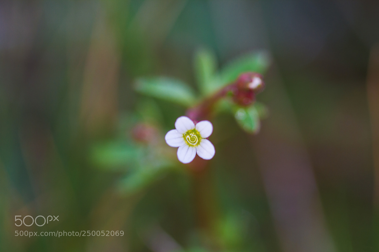 Canon EOS 7D sample photo. Img photography