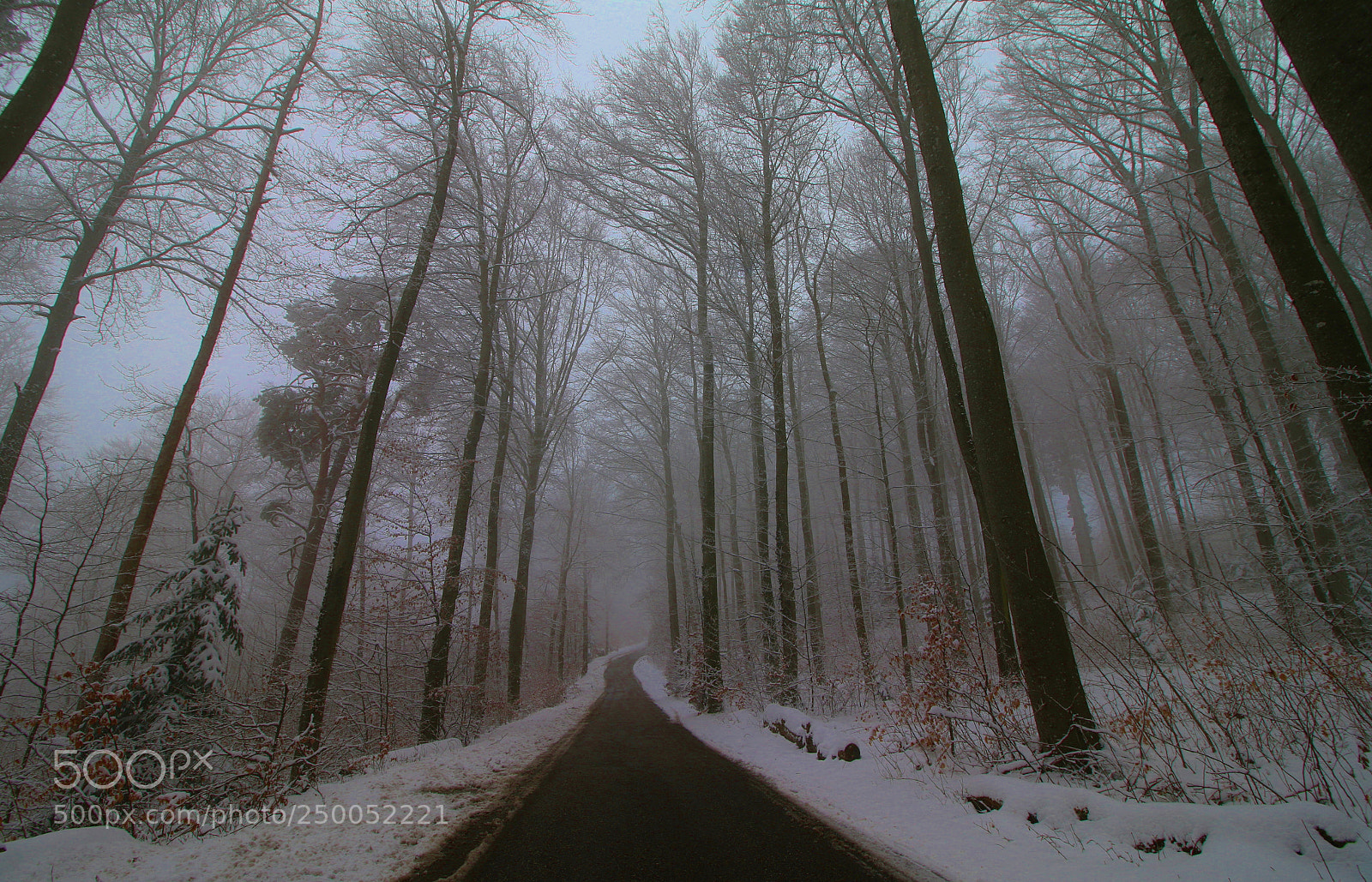 Canon EOS 70D sample photo. Snow again photography